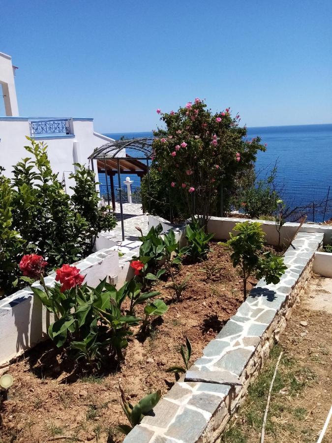 Appartement Korasida Blue Coast à Akhladherí Extérieur photo